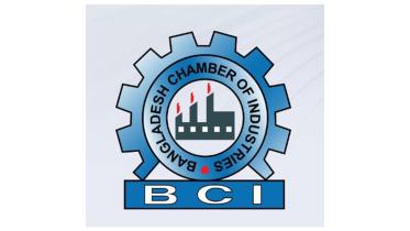 bci.jpg