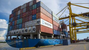 Export bounces back in May