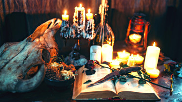 literature_web_illustrations_5.png