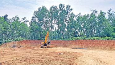 razing-hills-1.jpg