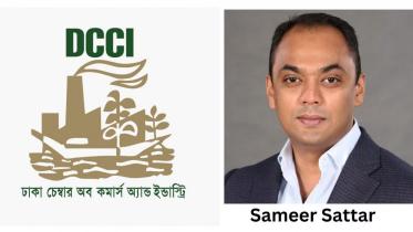 Rationalise public sector borrowing to encourage private borrowing: DCCI