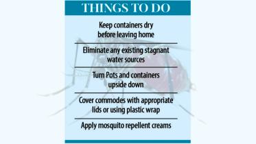 dengue-mosquito_copy.jpg