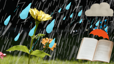 illustrations_7_21_1.png