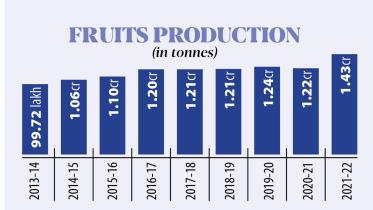 fruit-1.jpg