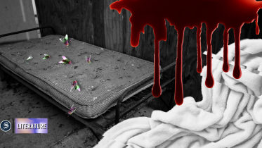 literature_web_illustrations.png