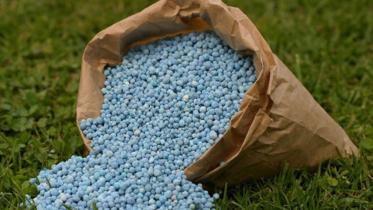 fertiliser.jpg