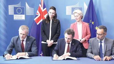 new-zealand-signs.jpg