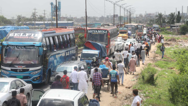 tailback.jpg