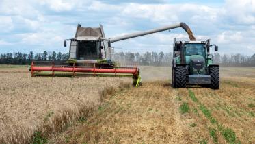 ukraine-wheat.jpg