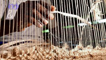 Can we hope for a banana fibre boom?