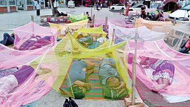 dengue.jpg
