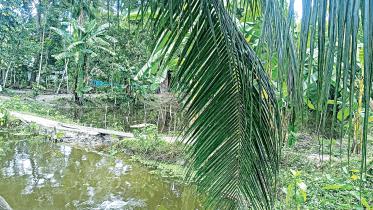 illegal-dams.jpg