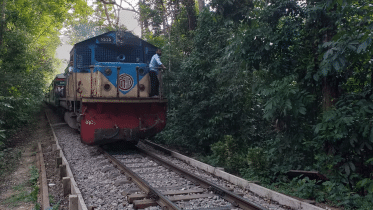lawachhara-national-park-1.gif