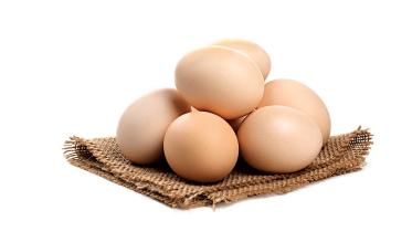 egg.jpg