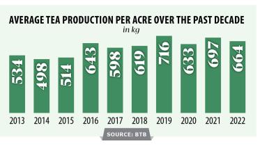 Tea gardens seeing fresh investment
