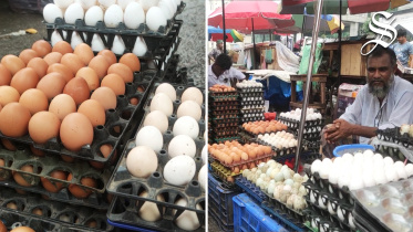 newsbye_egg_price-final.jpg