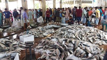 Cox's Bazar fishermen