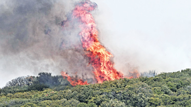 greece-wildfires.jpg