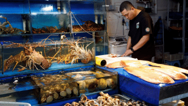 russia-may-raise-fish.gif