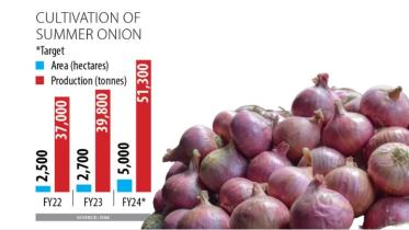 Tk 16.2 crore incentive for summer onion growers