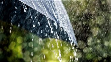 rain_rain.jpg