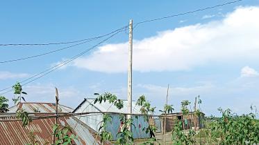 kurigram-power-sector.jpg