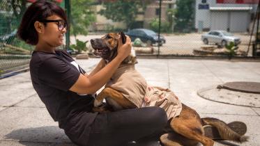 problems of owning a dog in Dhaka