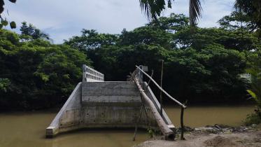 borguna bridge
