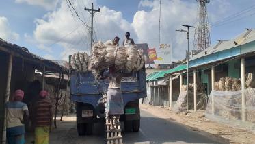 jute_picture-02_1.jpeg