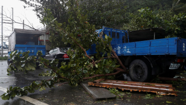 typhoon_2.jpg
