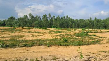 forest-land-grabbed.jpg