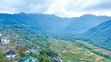nagaland-1.jpg