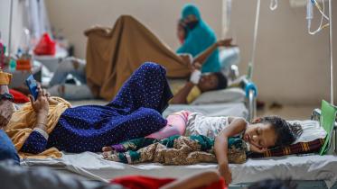 dengue-new-no-cap.jpg