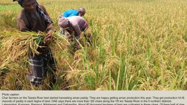 Profitability in farming on the decline: study