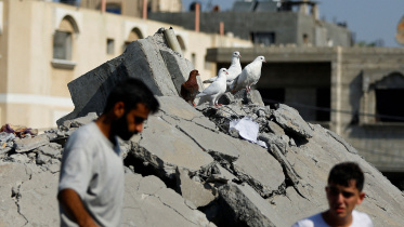 gaza_war.jpg