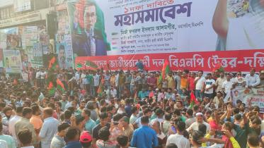 bnp.jpg