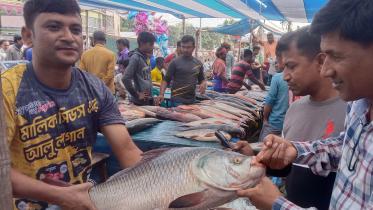 fish-mela