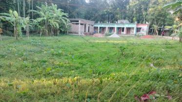 school-playground.jpg
