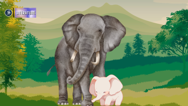 illustrations_9.png