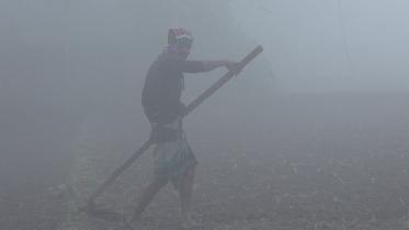 People in Lalmonirhat, Kurigram hit hard by cold, fog