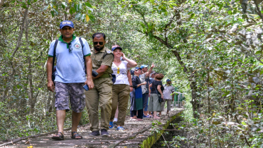 sundarbans_tourist.png