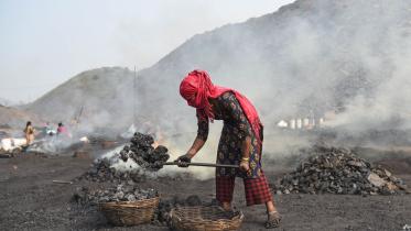 coal-web.jpg