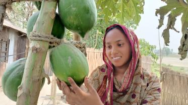 erosion-hit-farming-kurigram.jpg