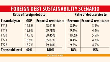 Foreign Debt Sustainability Scenario