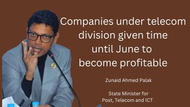 State telecom firms should become profitable by June: Palak