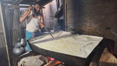 curd.jpg