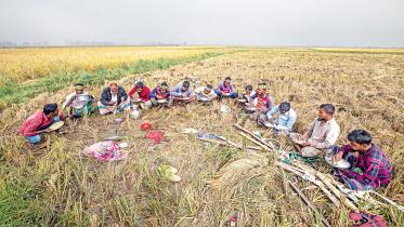 rangunia-upazila-1.jpg
