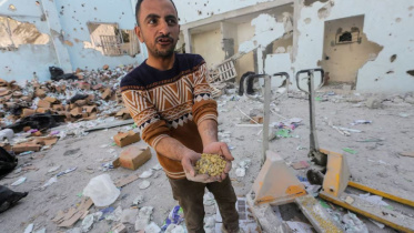 gaza.jpg