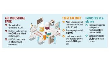 Production at API Industrial Park to begin next month