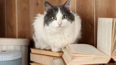 US library excusing overdue book charges in exchange for cat photos